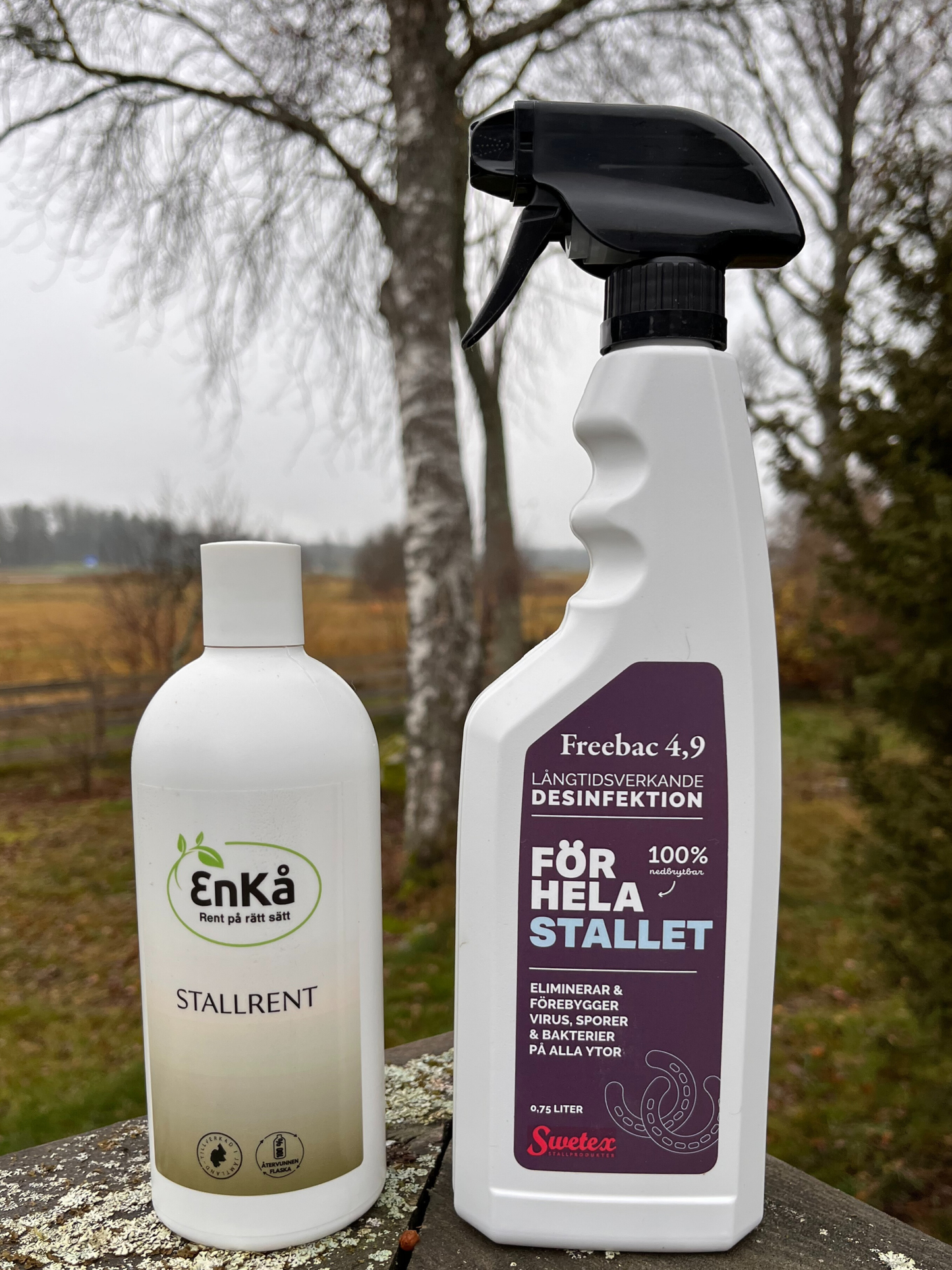 Stallrent + Freebac 4,9%