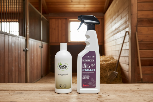 Stallrent + Freebac 4,9%